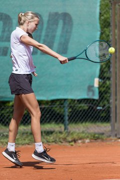 Jolie Abendroth 383 - Klippeldon